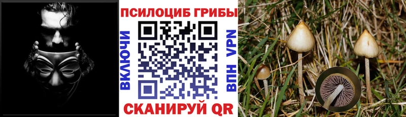 где купить наркоту  Пермь  mega как зайти  Галлюциногенные грибы Cubensis 
